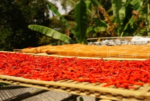 Tetebatu: Waterfalls, Spices, Rice Terrace, Monkey forest