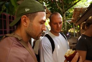 Tetebatu: Waterfalls, Spices, Rice Terrace, Monkey forest