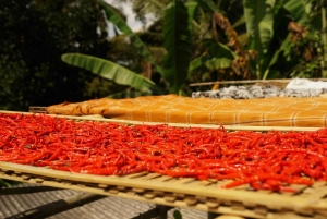 Tetebatu: Waterfalls, Spices, Rice Terrace, Monkey forest