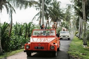 The Gate of Heaven Tour by VW Safari Classic Car