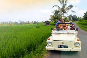 The Gate of Heaven Tour - VW Safari Classic Car Trip