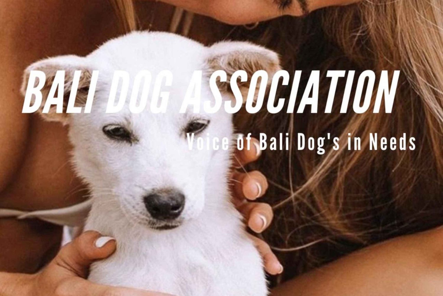 The World’s Puppy Heaven — A Bali Bliss with a Purpose