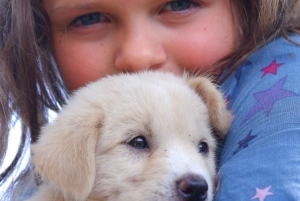 Verdens valpehimmel – en lykke på Bali med et formål