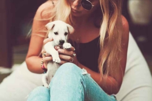 Verdens valpehimmel – en lykke på Bali med et formål