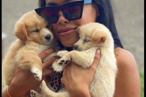 Verdens valpehimmel – en lykke på Bali med et formål