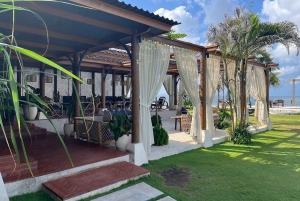 Verdens valpehimmel – en lykke på Bali med et formål