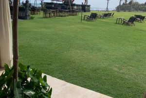 Verdens valpehimmel – en lykke på Bali med et formål