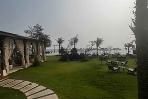 Verdens valpehimmel – en lykke på Bali med et formål