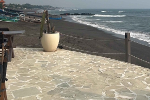 Verdens valpehimmel – en lykke på Bali med et formål