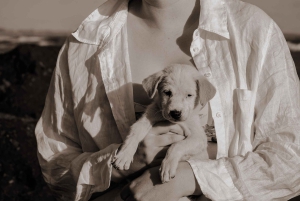 Verdens valpehimmel – en lykke på Bali med et formål