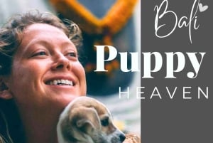 Verdens valpehimmel – en lykke på Bali med et formål