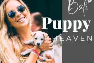 Verdens valpehimmel – en lykke på Bali med et formål