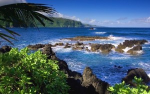 Bali Barat National Park