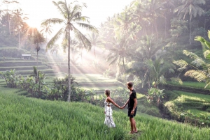 Ubud Waterfall, Temple, Rice Terraces & Monkey Forest Tour