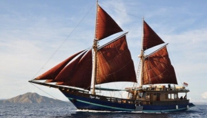 Tiger Blue Sailing Cruises