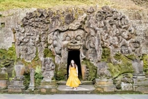 Top Highlights Ubud Private Day Tour