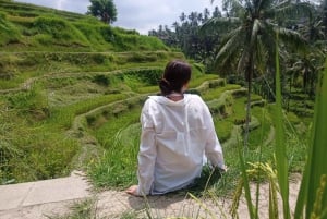 Top Highlights Ubud Private Day Tour