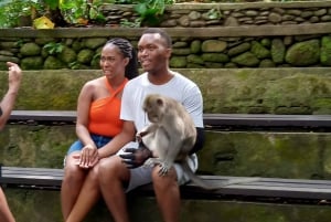 Top Highlights Ubud Private Day Tour