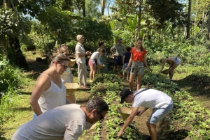 Traditionell balinesisk autentisk matlagningskurs och marknadstur