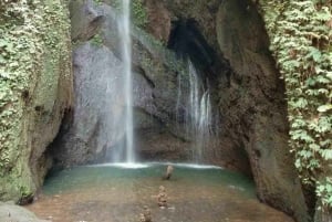 Traditional Sayan Night Market, Waterfall & Bedugul Escape