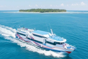 Transport fra hotellet - Padang Bai - Gili Island