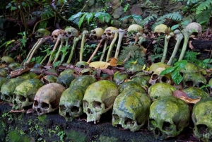 Trunyan Cemetery, Hot Spring, Penglipuran Village Tour