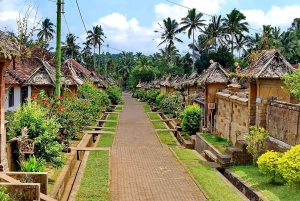 Trunyan Cemetery, Hot Spring, Penglipuran Village Tour