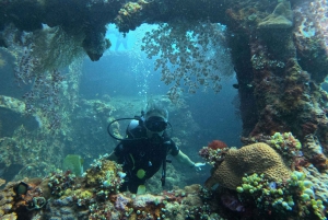 Tulamben Liberty Wreck 3 dives daytrip from South Bali