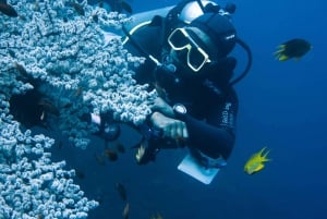 Tulamben Liberty Wreck 3 dives daytrip from South Bali