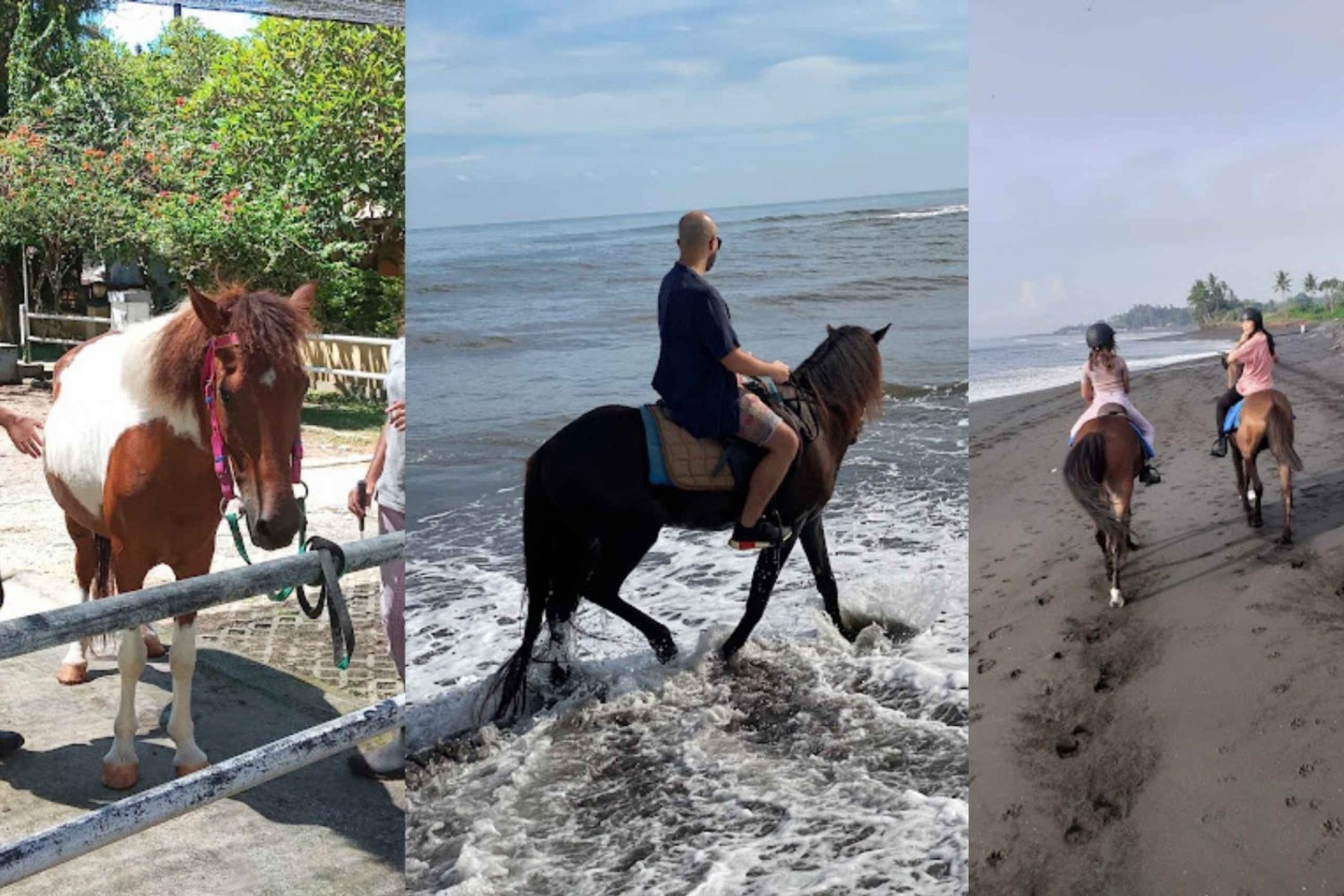 Ubud: 1 Hour Beach Horse Riding with Transfer