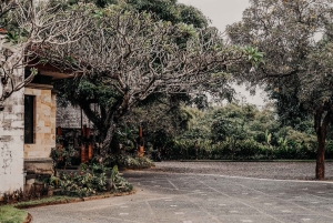Ubud: 2-stündiger Silberschmuck-Workshop