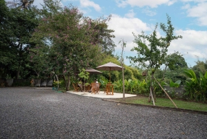 Ubud: 2-stündiger Silberschmuck-Workshop