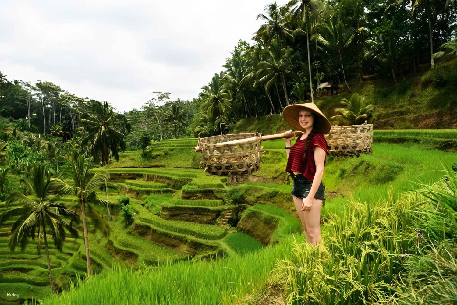 Ubud: 3-Day Tour with Sacred Monkey Forest Sanctuary.
