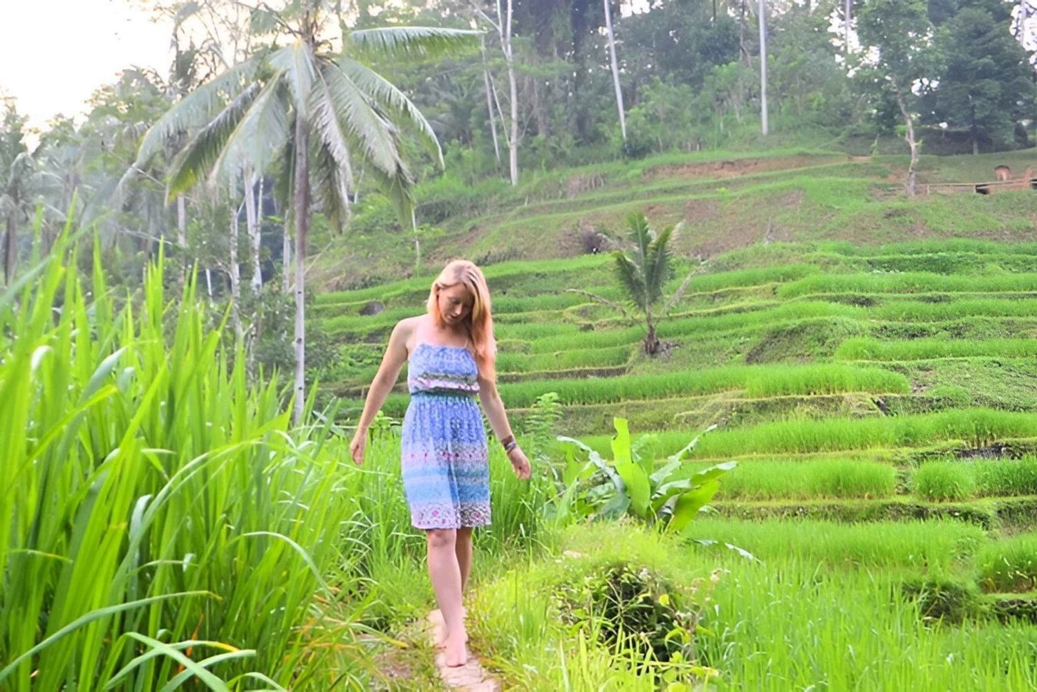 Ubud: 3-Day Tour with Sacred Monkey Forest Sanctuary.