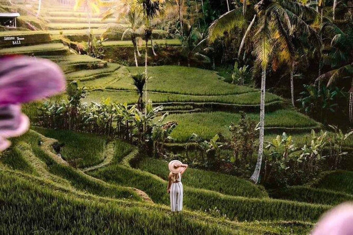 Ubud: 3-Day Tour with Sacred Monkey Forest Sanctuary.