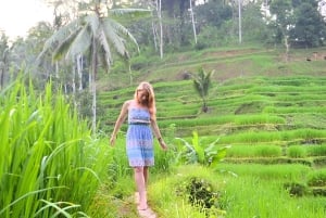 Ubud: 3-Day Tour with Sacred Monkey Forest Sanctuary.
