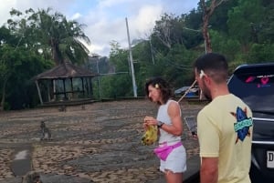 Ubud: 3-Day Tour with Sacred Monkey Forest Sanctuary.