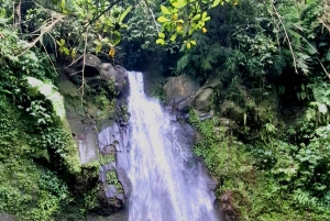 Ubud: 3-Day Tour with Sacred Monkey Forest Sanctuary.