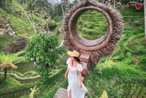 Ubud: Privat tur med skjulte vandfald og risterrasser