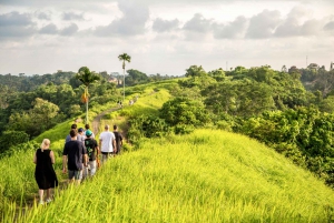 Ubud: 3-Hour Walking Tour with Lunch