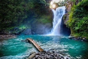 Ubud: Tour fotográfico de 3 cachoeiras em Ubud