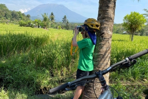 Ubud: Adventure Experience with Bike Tour Package with meal