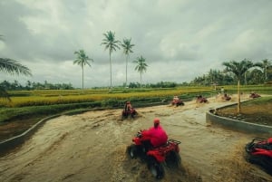 バリ島：ウブドで四輪バギー、ラフティング、バリ式スパ体験（移動サービス付き）