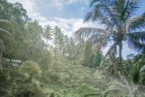 Ubud: Alas Harum Day-Pass, Swing, Sky Bike & Flying Fox