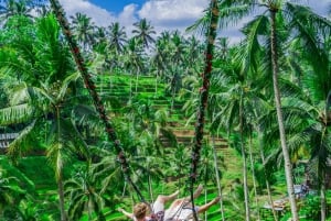 Ubud: Alas Harum Day-Pass, Swing, Sky Bike & Flying Fox