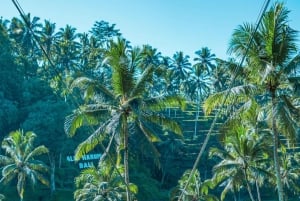 Ubud: Alas Harum Day-Pass, Swing, Sky Bike & Flying Fox