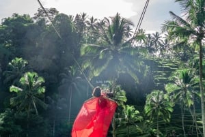 Ubud: Alas Harum Day-Pass, Swing, Sky Bike & Flying Fox