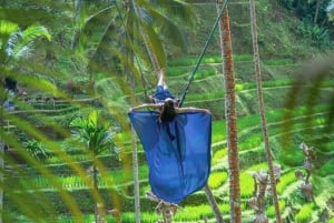 Ubud: Alas Harum Day-Pass, Swing, Sky Bike & Flying Fox