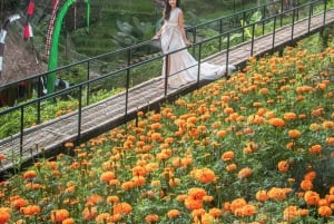 Ubud: Alas Harum Day-Pass, Swing, Sky Bike & Flying Fox