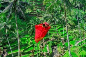 Ubud: Alas Harum, templo y cascada - tour privado